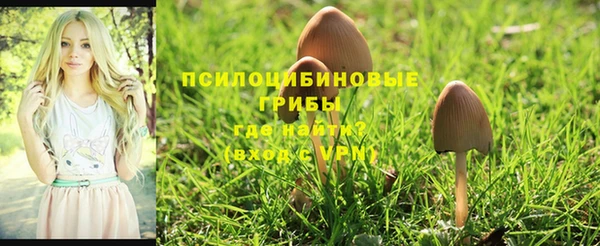 не бодяженный Новокубанск