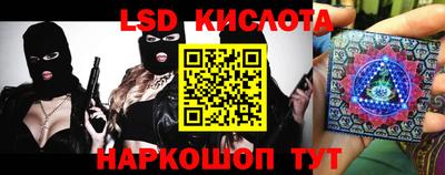 прущие грибы Камышлов