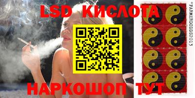 молекула духа Кандалакша