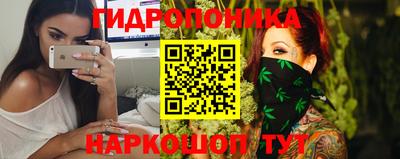 прущие грибы Камышлов