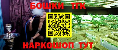 прущие грибы Камышлов