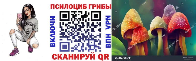 Псилоцибиновые грибы ЛСД kraken tor Павловский Посад
