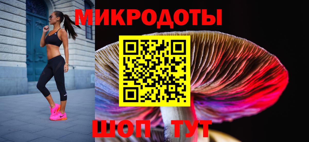 Псилоцибиновые грибы Psilocybe Павловский Посад