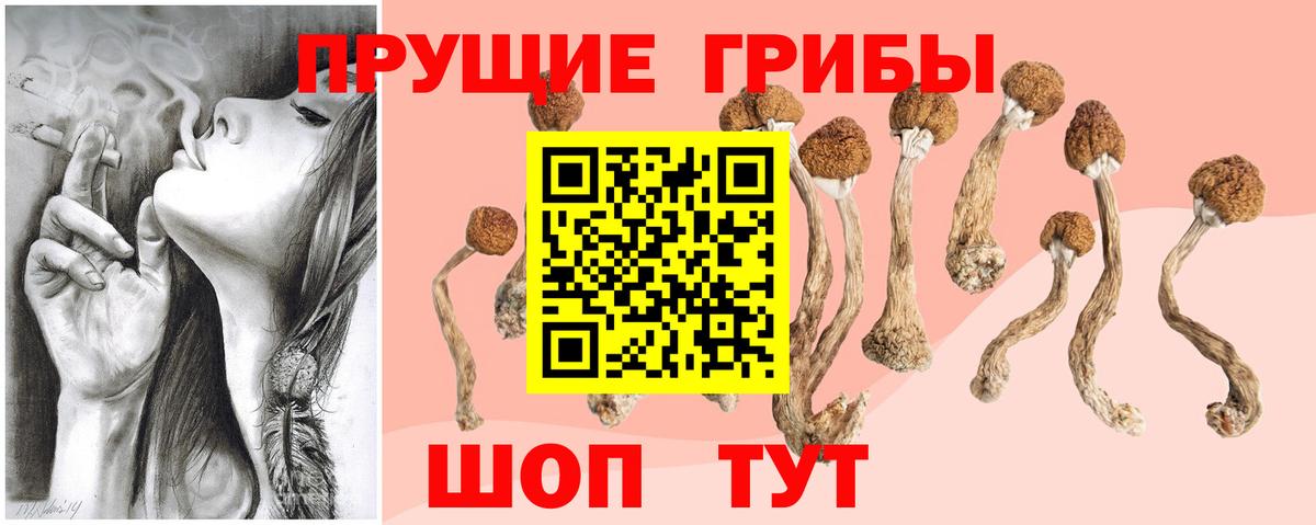 Галлюциногенные грибы ЛСД  Вход с VPN  закладка  Павловский Посад 