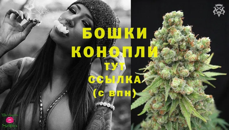 Бошки марихуана White Widow  что такое   Павловский Посад 